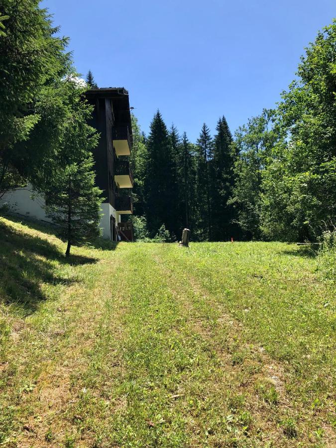 Chalet Riviere Du Bon Nant Location De 6 A 14 Personnes En Haute Savoie แซ็งต์-แฌร์เวส์-เลส์-แบ็งส์ ภายนอก รูปภาพ