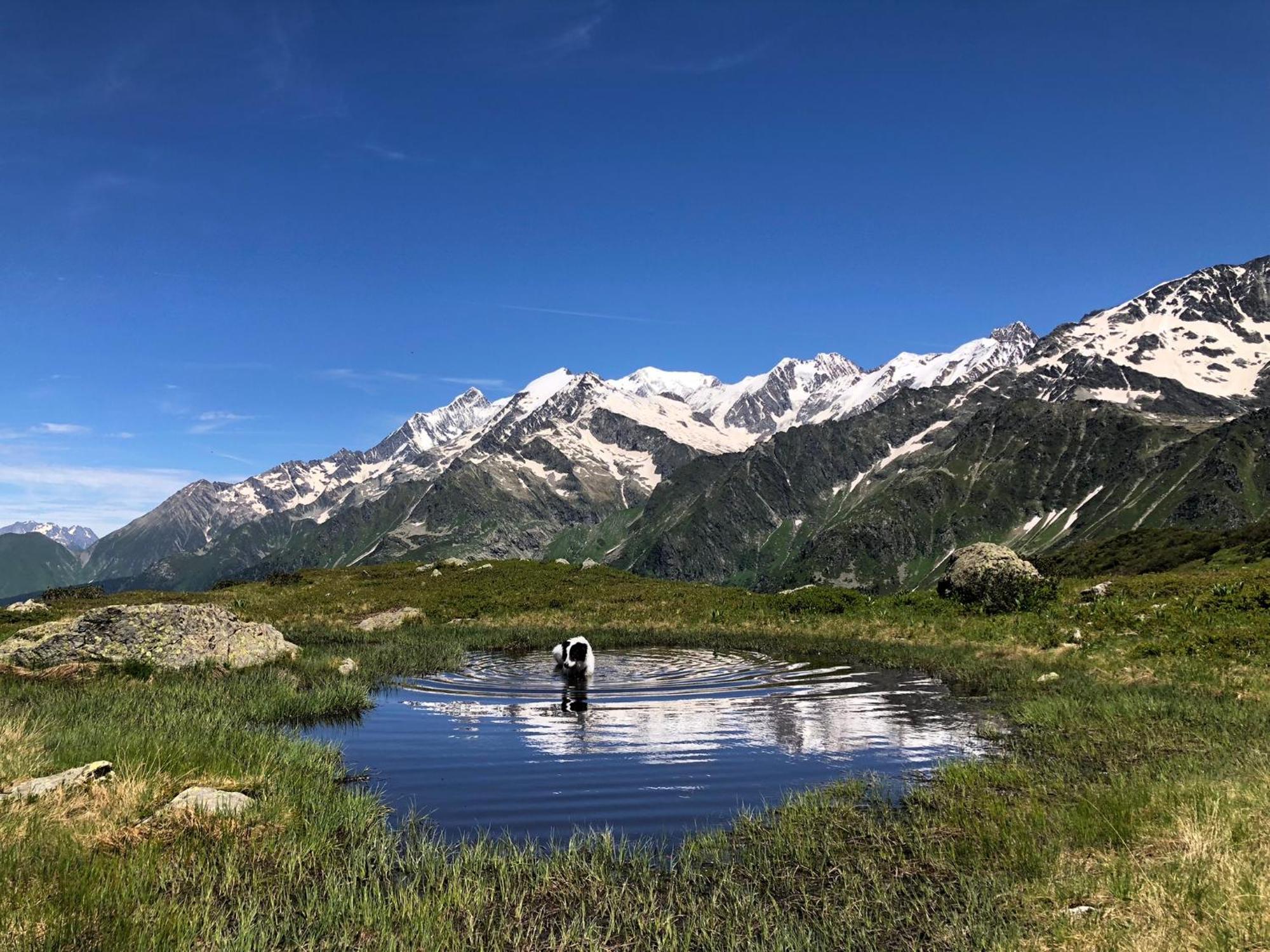 Chalet Riviere Du Bon Nant Location De 6 A 14 Personnes En Haute Savoie แซ็งต์-แฌร์เวส์-เลส์-แบ็งส์ ภายนอก รูปภาพ
