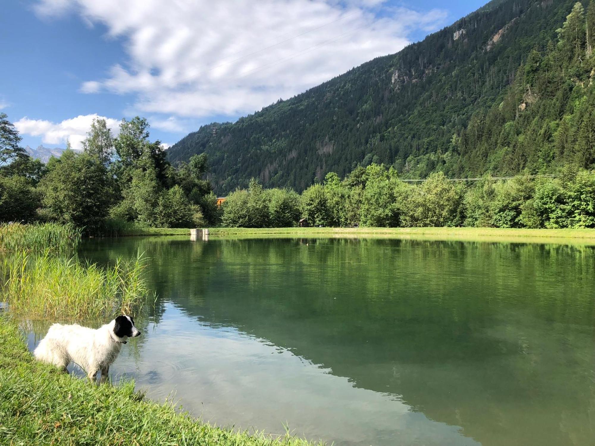 Chalet Riviere Du Bon Nant Location De 6 A 14 Personnes En Haute Savoie แซ็งต์-แฌร์เวส์-เลส์-แบ็งส์ ภายนอก รูปภาพ